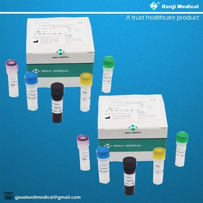 Kit de détection d'acide nucléique du virus Monkeypox (MPV) Kit de test rapide à domicile Kit de PCR en temps réel