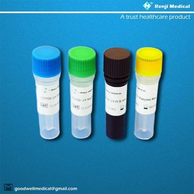 Approbation en temps réel de la méthode ISO13485 de Renji Nucleic Acid Testing Kit RT-PCR