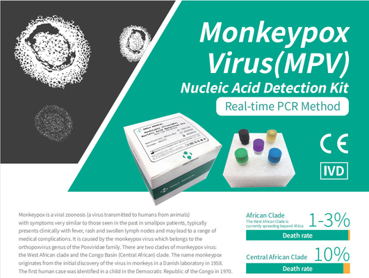 Kit de détection d'acide nucléique du virus Monkeypox (MPV) Kit de test rapide à domicile Kit de PCR en temps réel