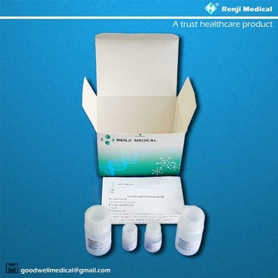 extraction acide nucléique Kit Silica Based Membrane Technology de 50 essais