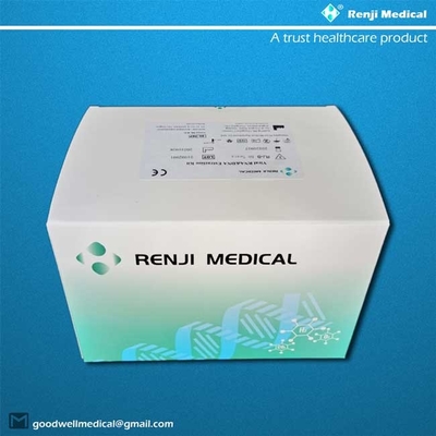 Kit acide nucléique d'extraction de Renji, kit viral de purification d'ARN de perle magnétique