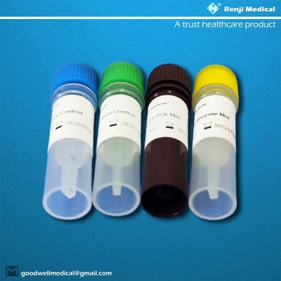 Certification de GV d'ORF1ab/N Gene Novel Coronavirus Testing Kit