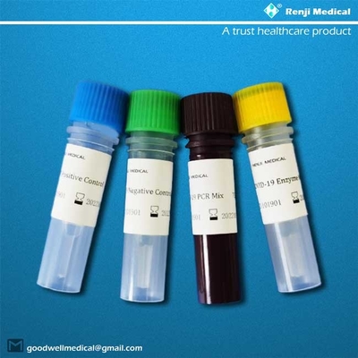 Kit de essai acide nucléique de sensibilité de 95%, 40-90 kit de détection d'ACP des minutes droite